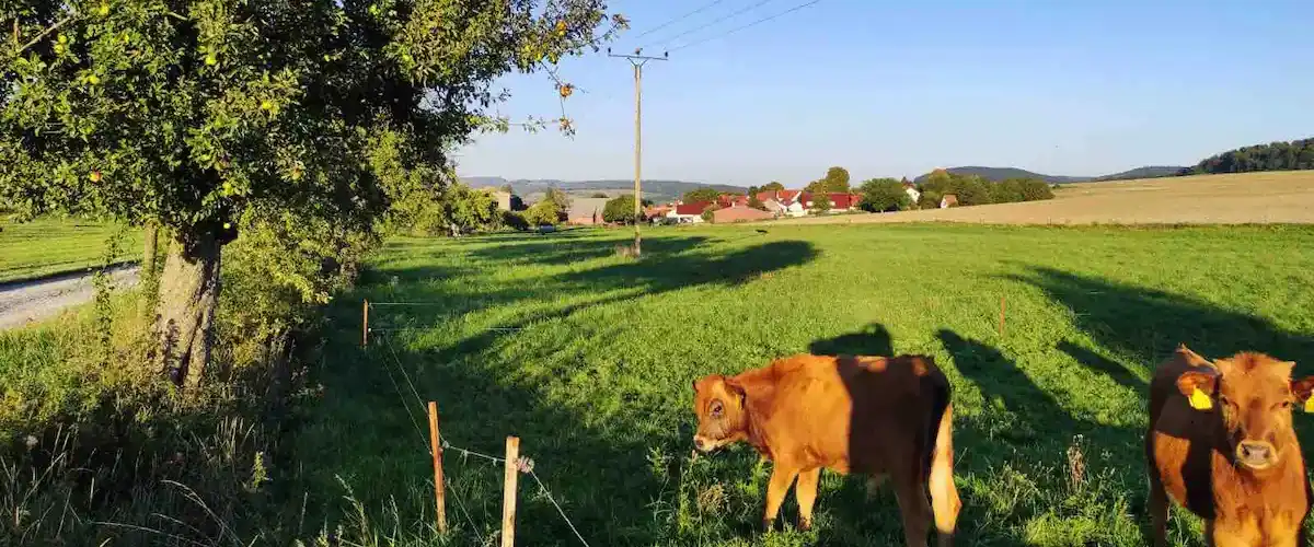 Rural area in Kaltennordheim, Germany